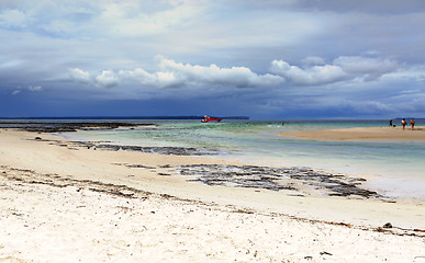 Image showing Moona Moona Creek Huskisson