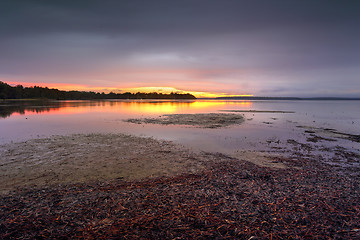 Image showing Serenity in the rain at Sanctuary Point