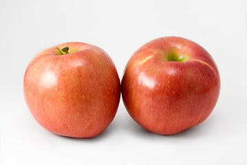 Image showing Two apples