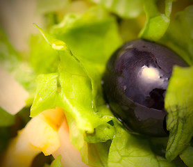 Image showing black olives and lettuce