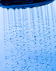 Image showing Shower Head with Running Water