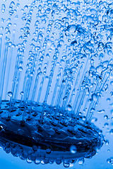 Image showing Shower Head with Running Water