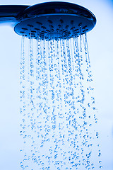 Image showing Shower Head with Running Water