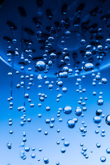 Image showing Shower Head with Running Water