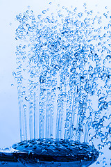 Image showing Shower Head with Running Water