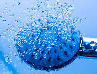 Image showing Shower Head with Running Water