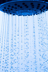 Image showing Shower Head with Running Water