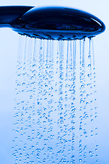 Image showing Shower Head with Running Water