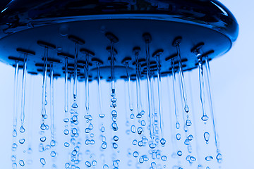 Image showing Shower Head with Running Water