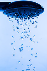 Image showing Shower Head with Running Water