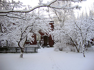 Image showing Winter garden