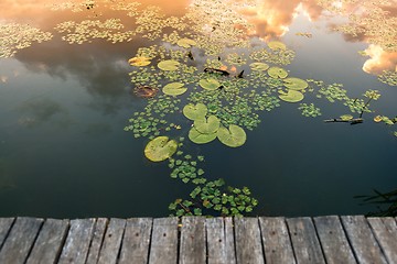 Image showing Peaceful place at the pond