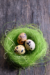 Image showing Quail's eggs in a nest