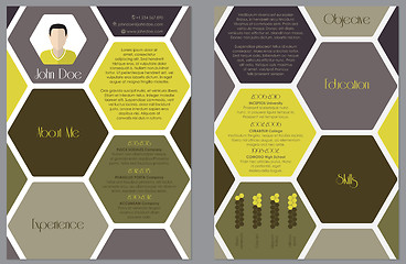 Image showing Modern resume design with hexagon theme