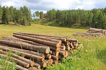 Image showing Rural Landscape with Log Piles at Summer