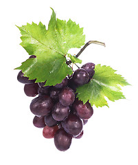 Image showing Grape cluster with leaves isolated