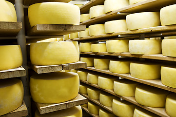 Image showing Cheese in shelf