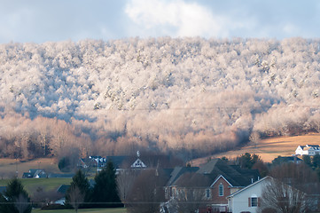 Image showing snowy forest landscape during winter