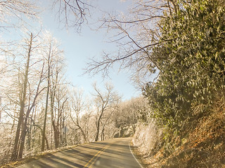 Image showing snowy forest landscape during winter