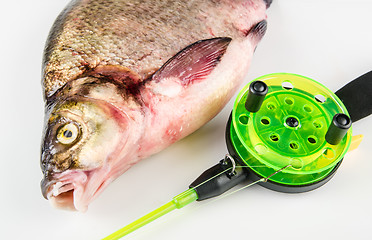 Image showing  bream and Rod is isolated on a white background 