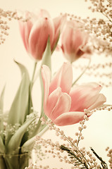 Image showing Spring bouquet with a mimosa and tulips. Toning