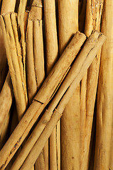 Image showing Cinnamon sticks