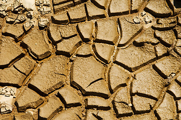 Image showing Cracked soil