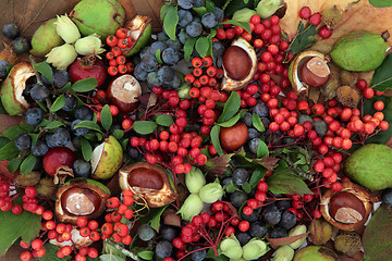 Image showing Natures Bounty