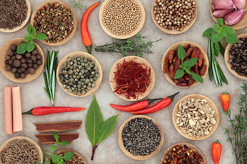 Image showing Herb and Spice Selection
