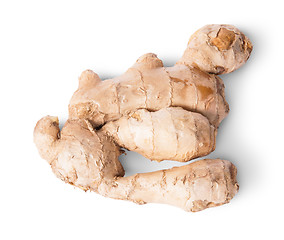 Image showing Entire ginger root top view reverse