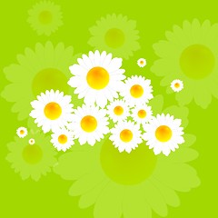 Image showing Bright summer background with camomile flowers