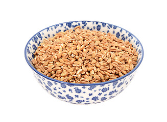 Image showing Farro dicocco, or Italian spelt, in a blue and white china bowl