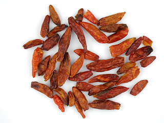 Image showing Dried birdseye chilis