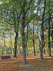 Image showing Park in Brussels, Belgium