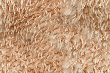 Image showing lambs wool