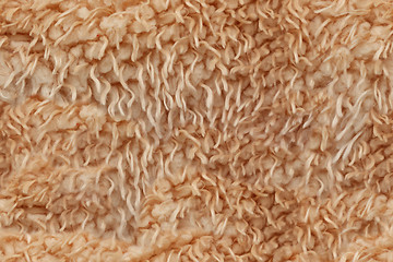 Image showing lambs wool