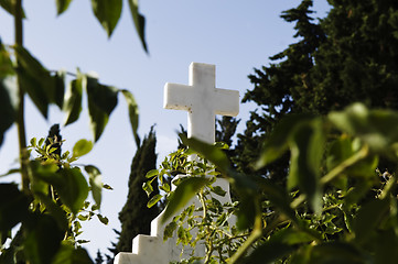 Image showing Cross between the trees