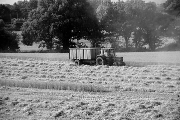 Image showing Tractor pulling trailer in a harvested field