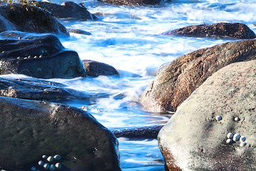 Image showing Stone Beach