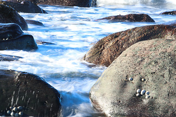 Image showing Stone Beach