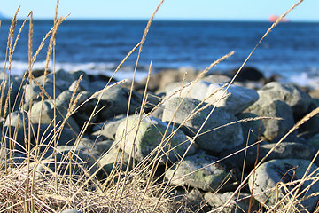 Image showing Stones at the Shore