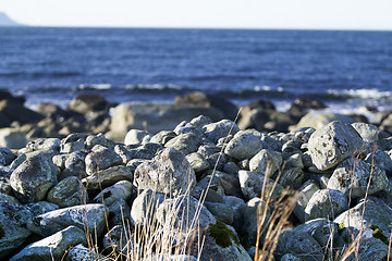 Image showing Stone Beach