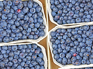 Image showing blueberries at a street sale