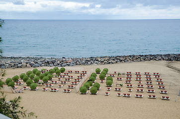 Image showing Empty sun beds at beach