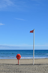 Image showing Red flag and lifebuoy