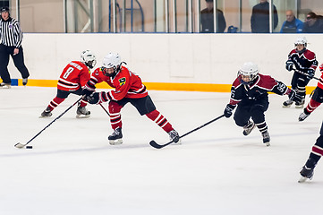 Image showing Game moment of children ice-hockey teams