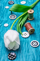 Image showing one white tulip and buttons with threads