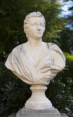 Image showing Monument, bust, marble.