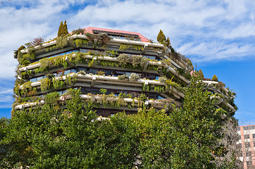 Image showing Appartment building covered by climbing plant - creeper