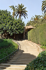 Image showing staircase in greenery and palm trees